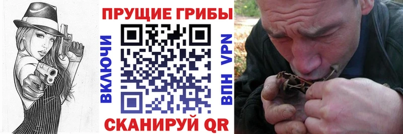 Псилоцибиновые грибы мицелий  Злынка 